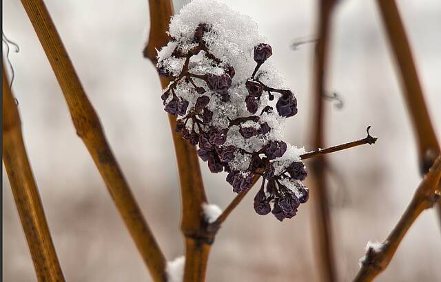 ...hängengeblieben!