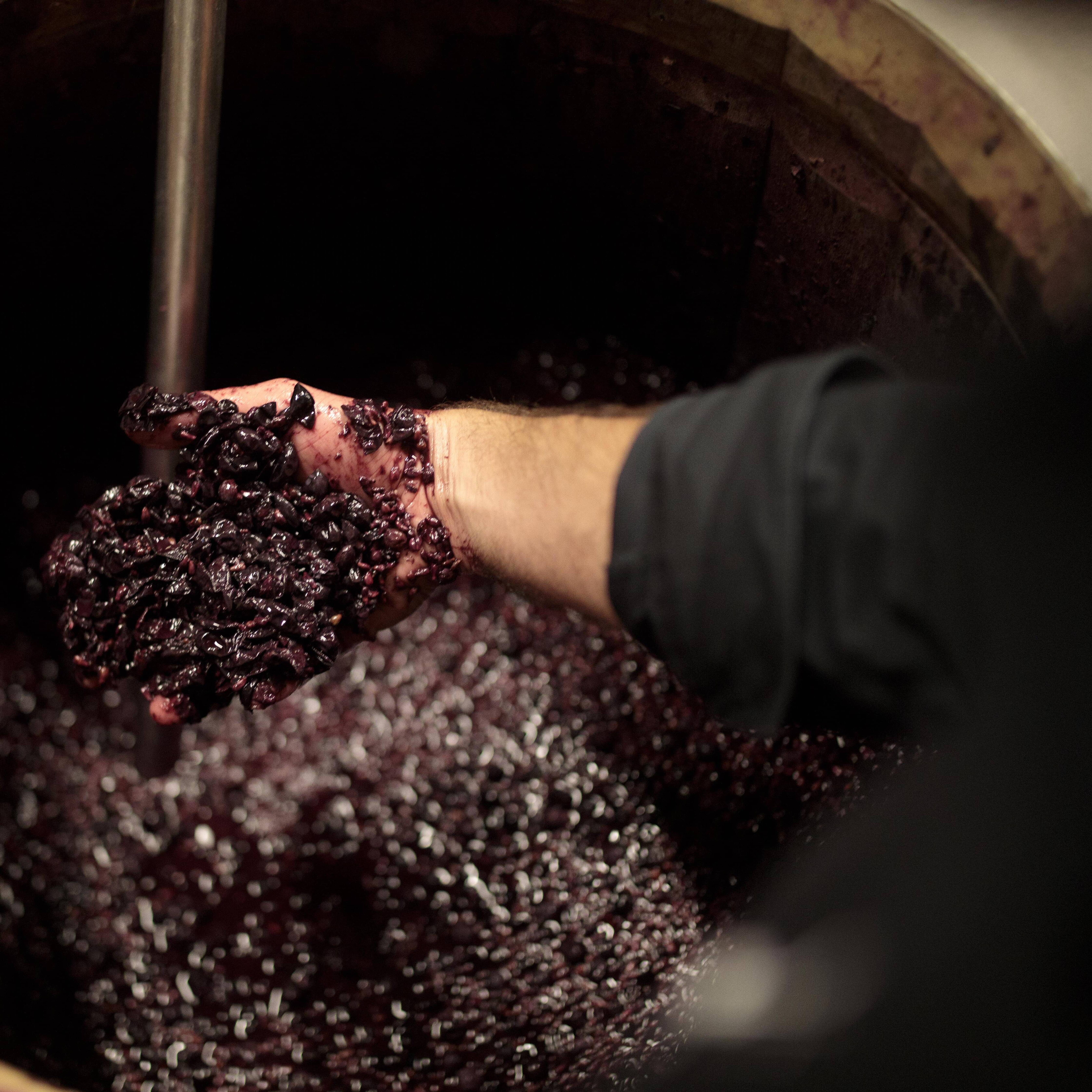 Foto: Michael Colella