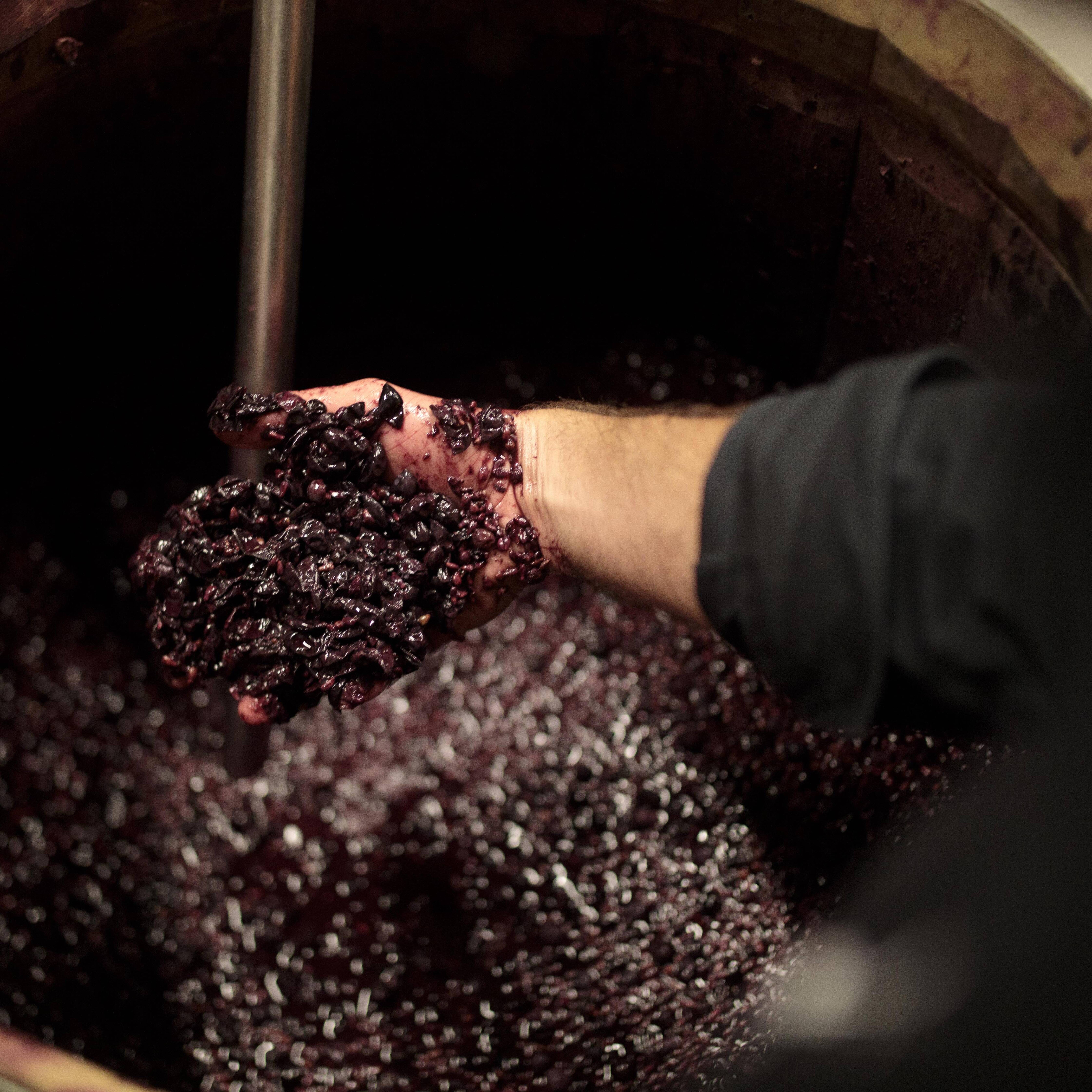 Foto: Michael Colella