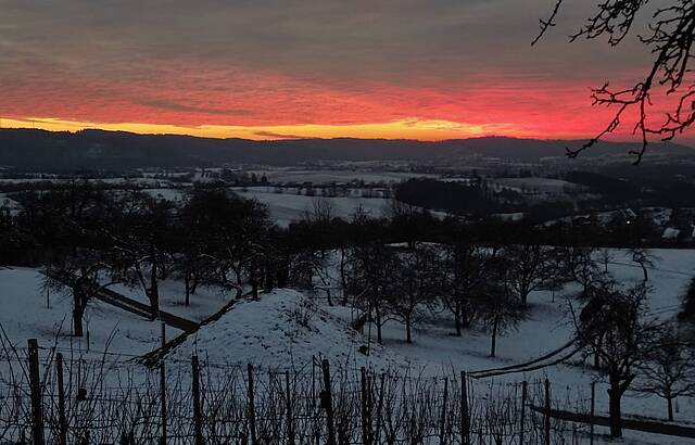 Sonnenuntergang überm Weinberg