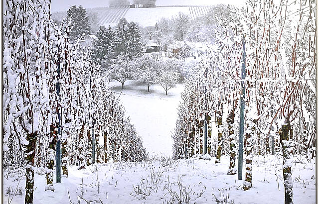 Rutsch mr doch dr Buckel nunter