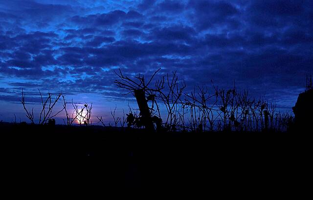Nacht über den Weinbergen