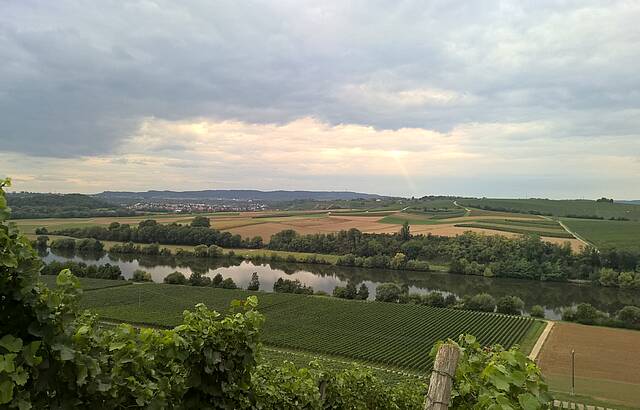 Weinheimat Neckarwestheim