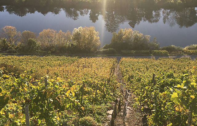 Eingefangener Sonnenschein