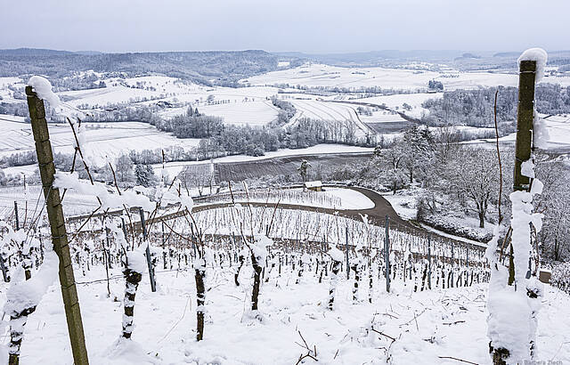 Es ist einer der schönsten Arbeitsplätze