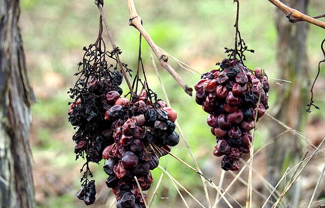.... hängen geblieben ......