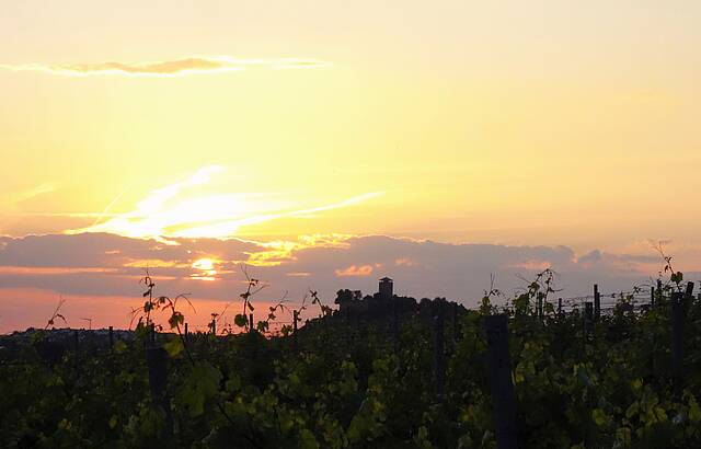 Abendstimmung mit Burgblick
