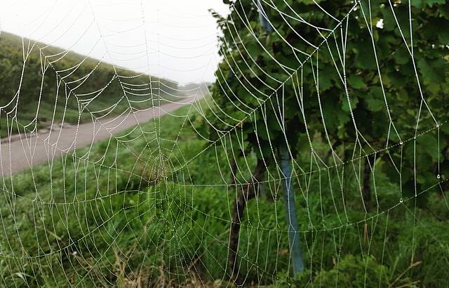 Altweibersommer im Remstal