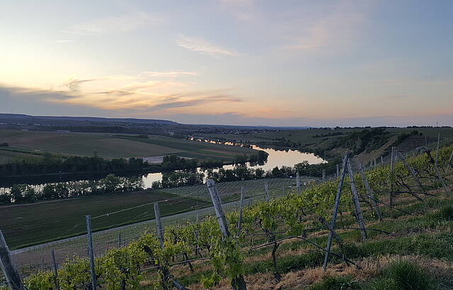 Neckarkurve Neckarwestheim nach Lauffen