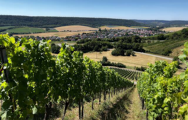 Inmitten von Reben - Eberstadt