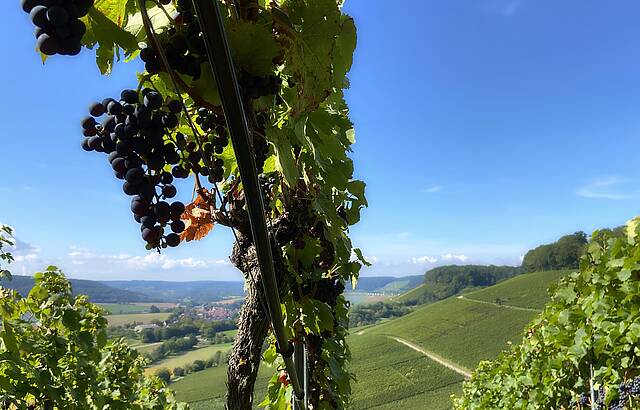 Der Jahrgang 2022 wartet drauf, gelesen zu werden