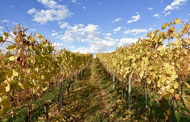 Sonne tanken für den Winter