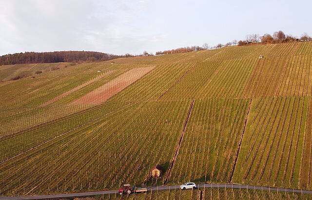 Grunbacher Wengert von oben