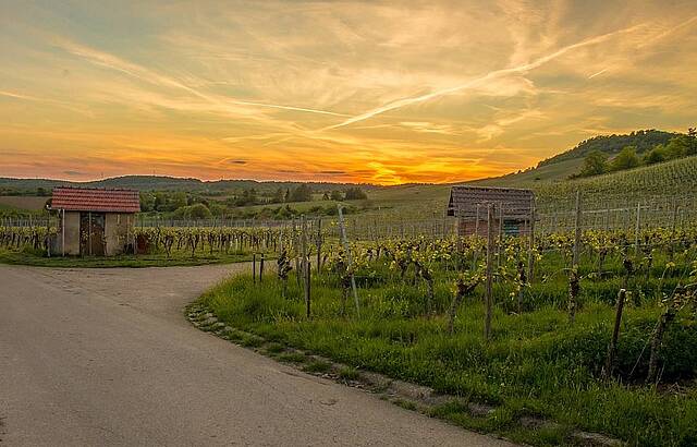 Malerische Lichtstimmung am Wunnenstein