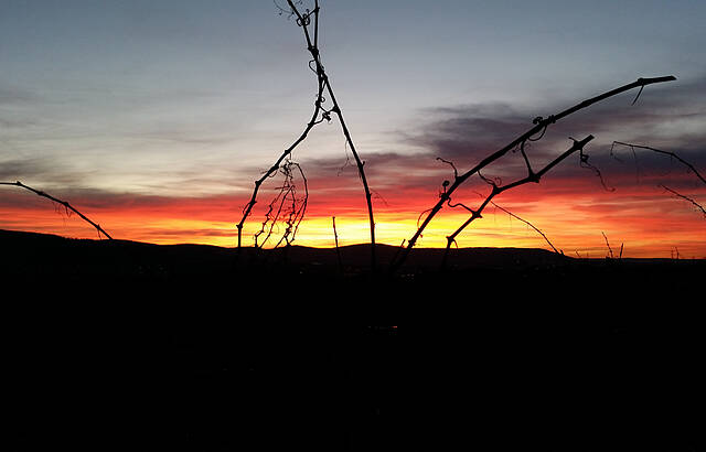 "Hinunter ist der Sonne Schein"