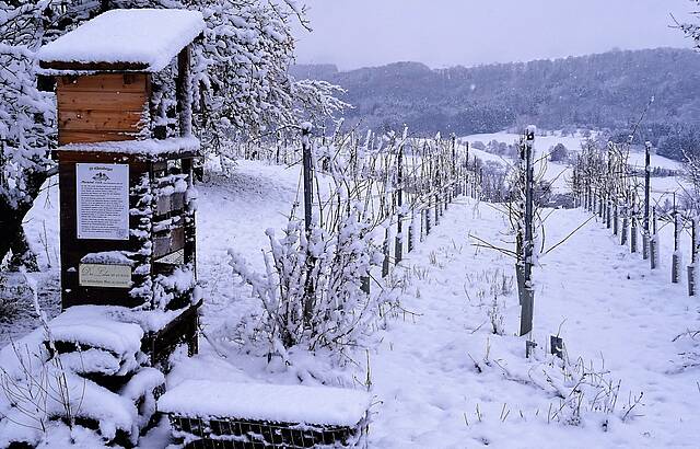 Insektenturm im Winterkleid