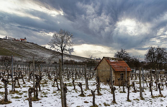 Michaelsberg bei Cleebronn