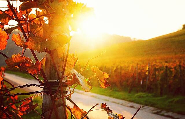 Letzte Sonnenstrahlen