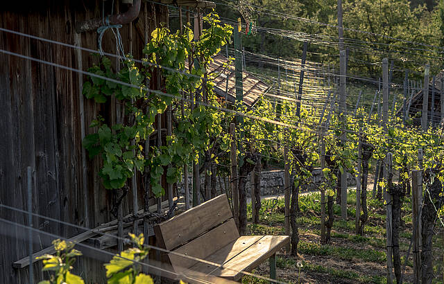 Der Morgen ist angebrochen