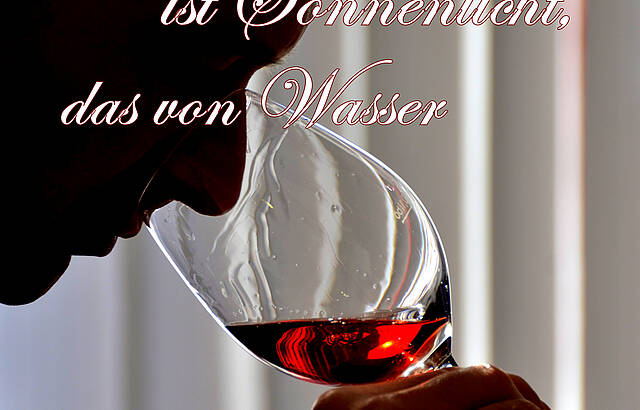 Wein ist...