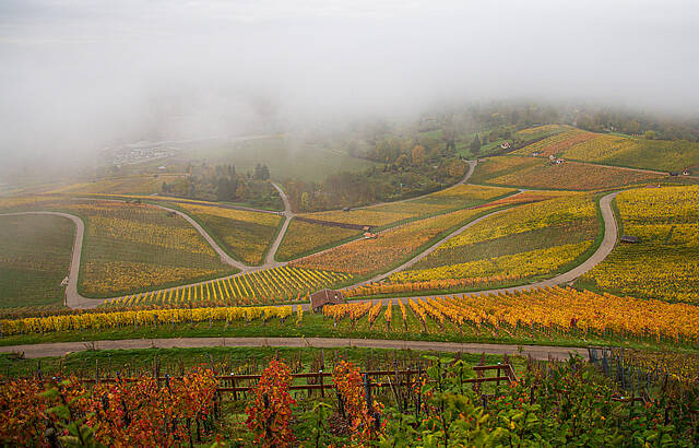 Der Nebel lichtet sich