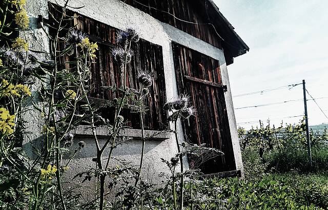 Wengerthäusle im Remstal