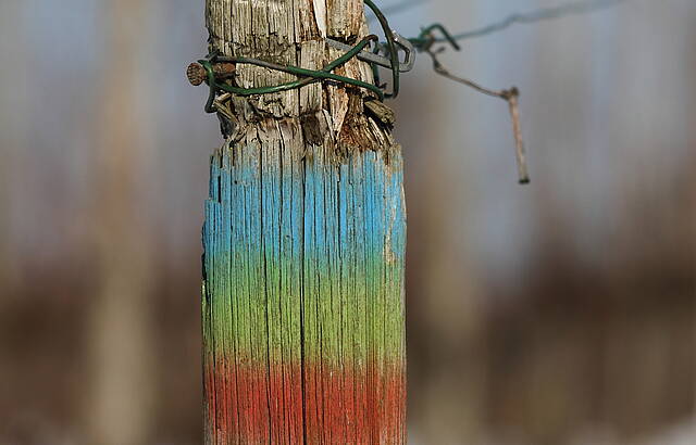Farben in den Weinbergen
