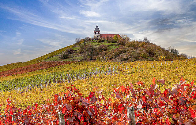 Michaelsberg bei Cleebronn