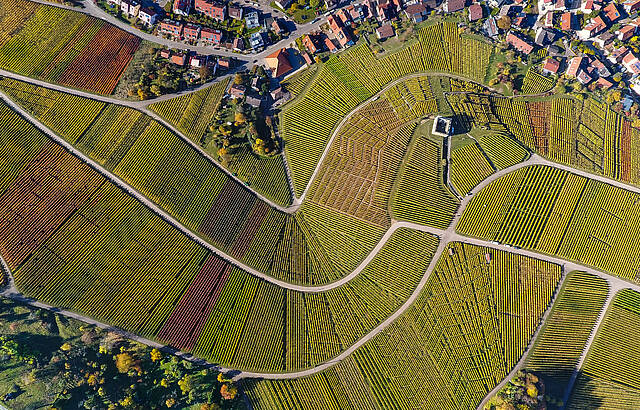 Weinberge - Eine Sinfonie aus Formen und Farben