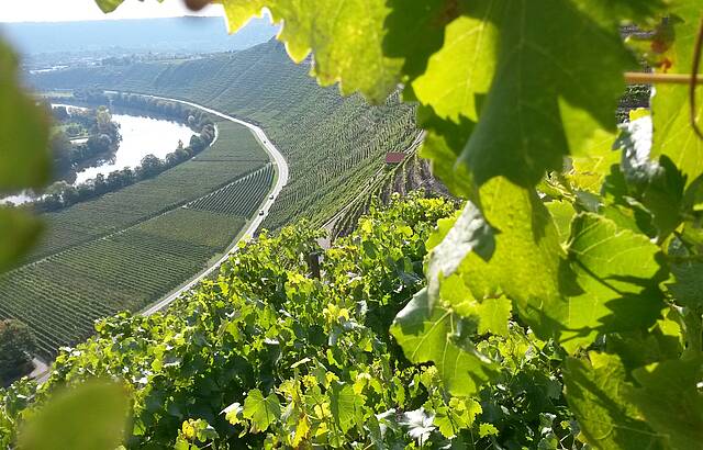 Den Alltag vergessen und ins Traumland reisen