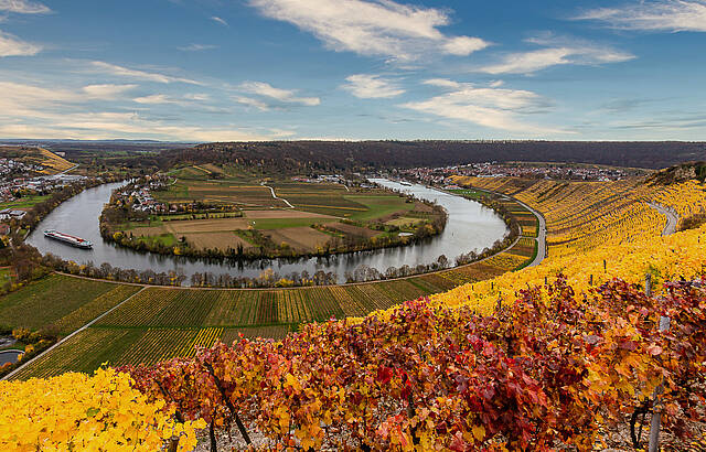 Neckarschleife bei Hessigheim