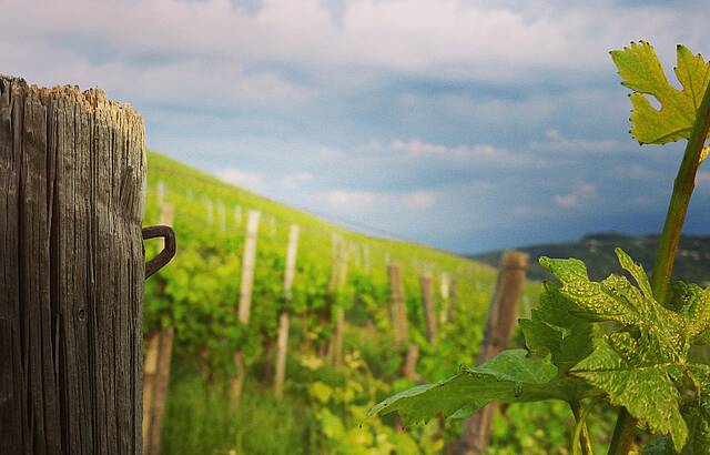 Impression aus dem Mai