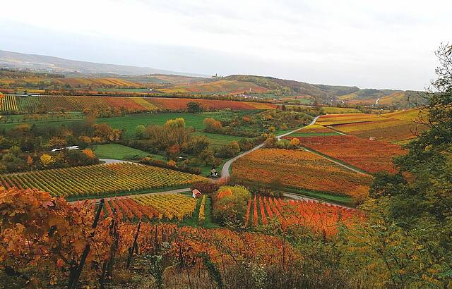 Zweifelberg in seinen schönsten Farben