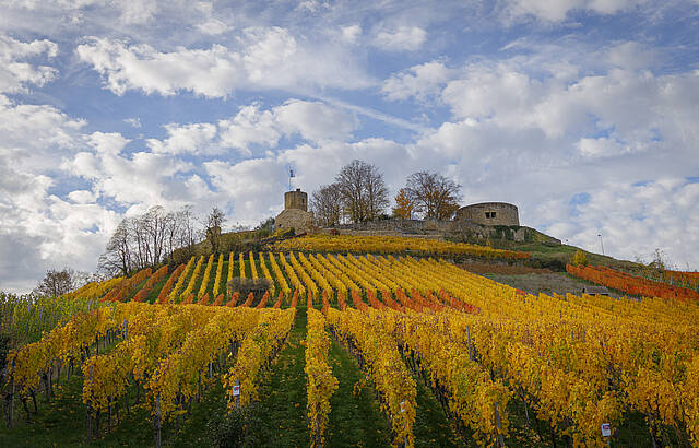 Burg Weibertreu mit Herbstkleid