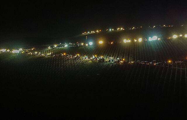 "Weinbergleuchten 2"