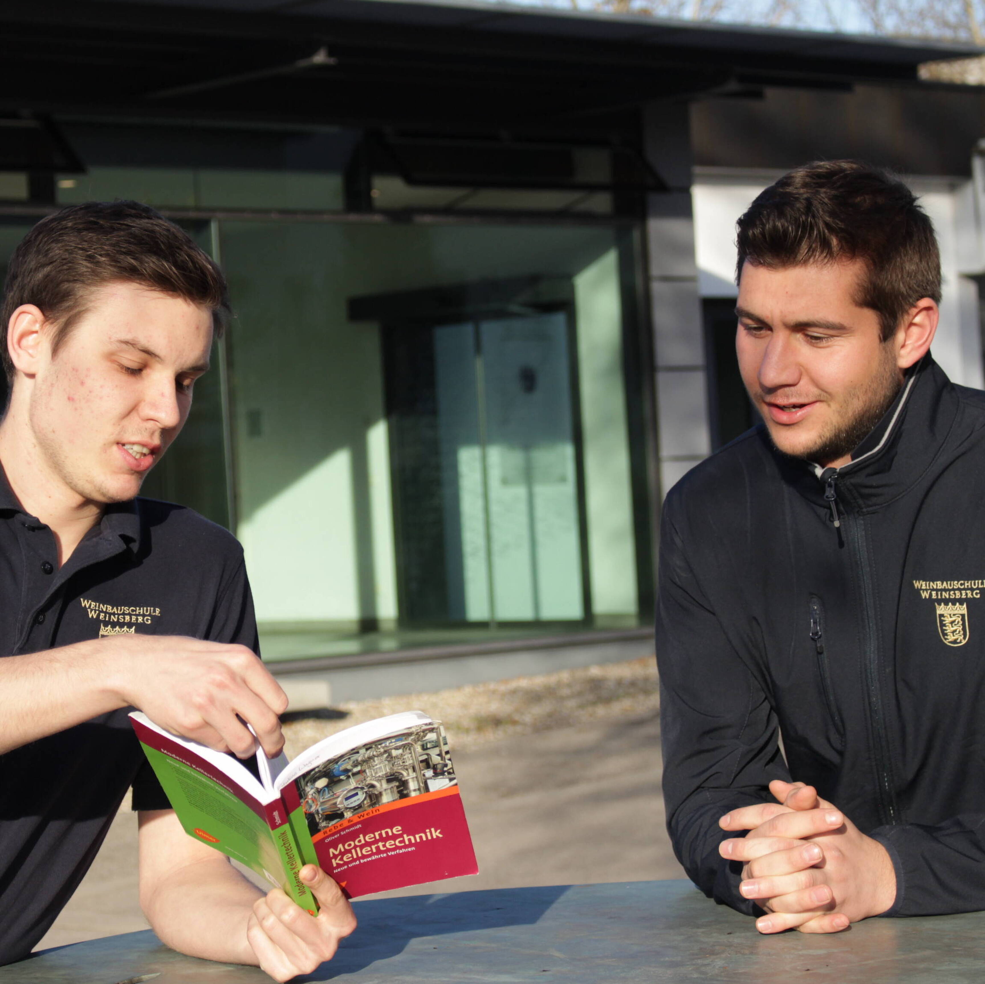 Foto: Staatliche Lehr- und Versuchsanstalt für Wein- und Obstbau Weinsberg