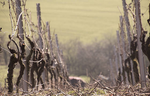 Schneiden und Biegen - zwei bleiben stehen
