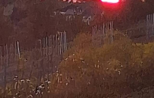 Sonnenuntergang über Kressbronn