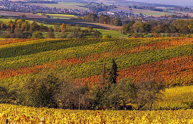 Ein letzter Sonnentag im Oktober  ...