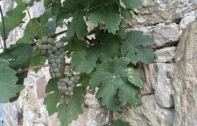 Einkehr im September