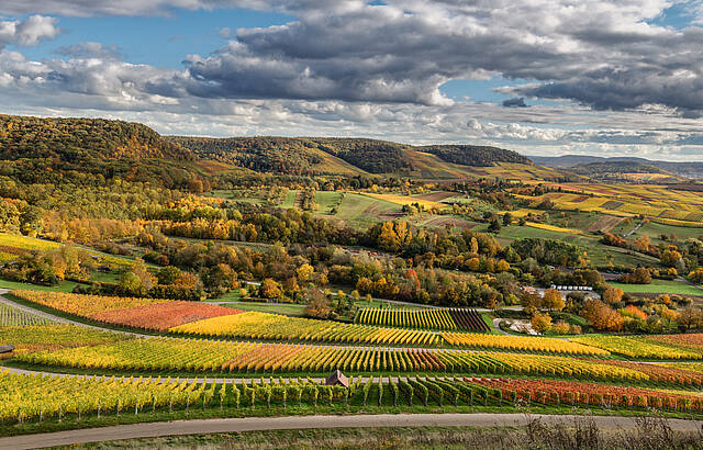 Blick vom Scheuerberg 