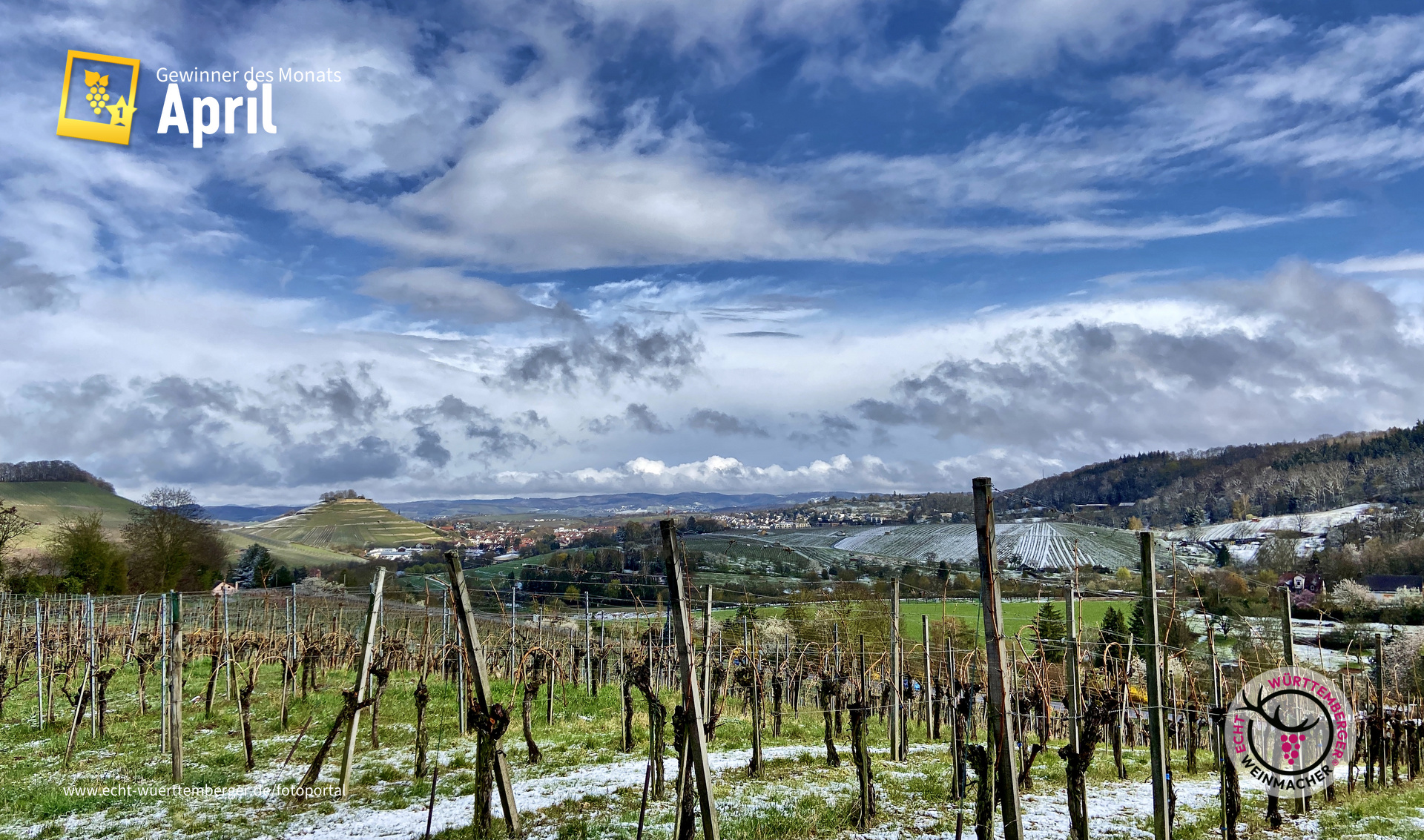April, April - der macht im Wengert was er will...