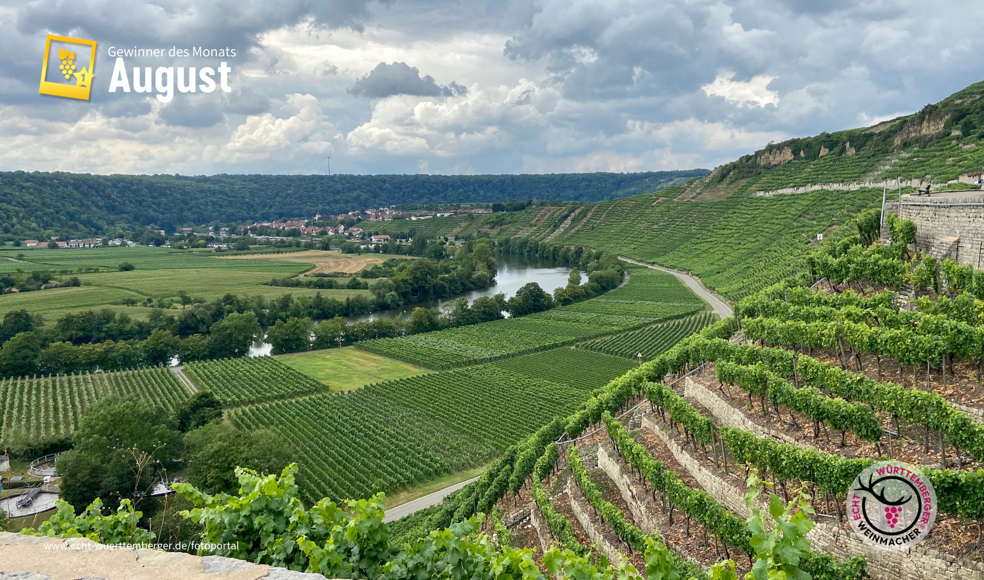 Wo braucht man zur Weinlese Bergstiefel und muss trittsicher sein? Käsberg Mundelsheim !