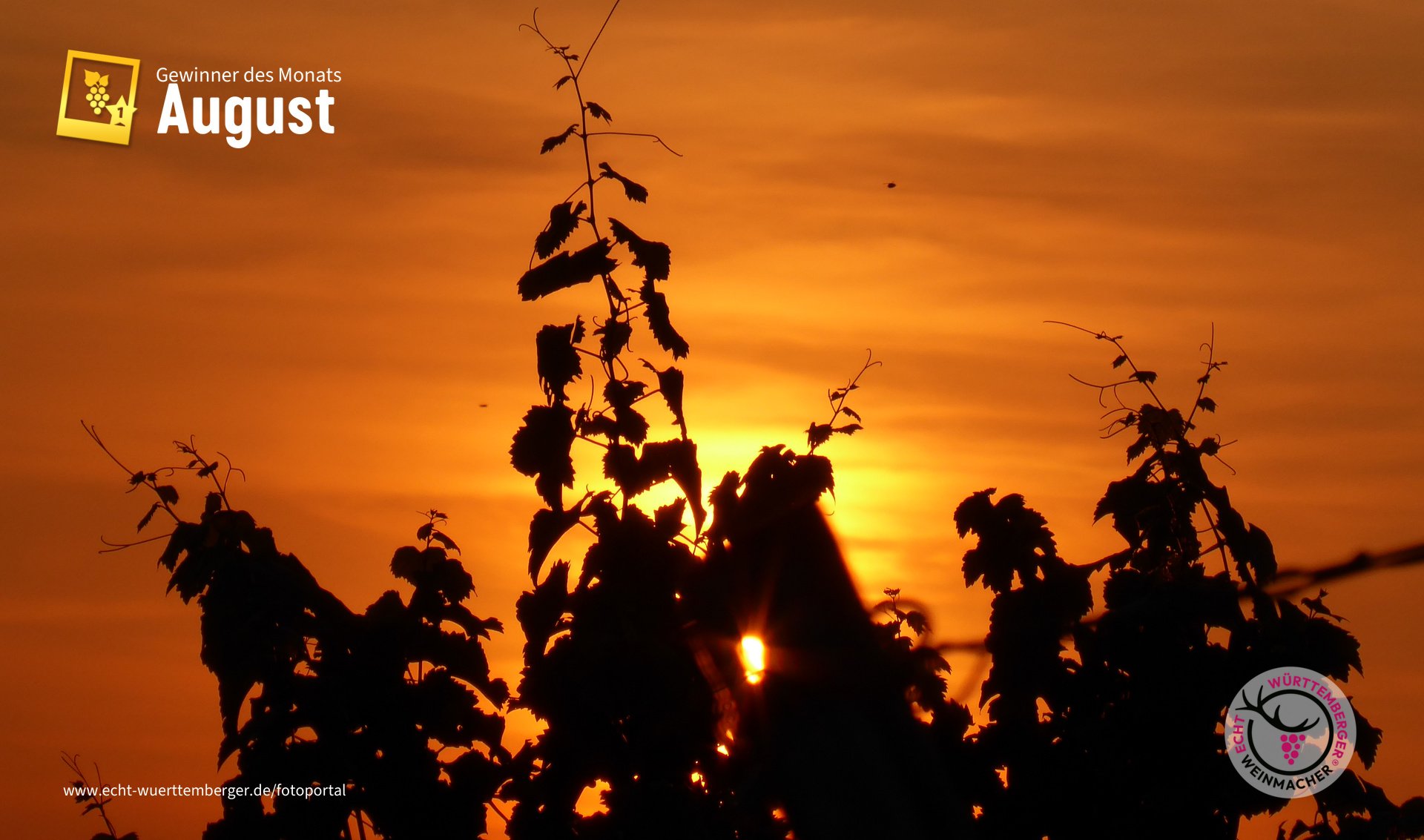 Sonnenuntergang