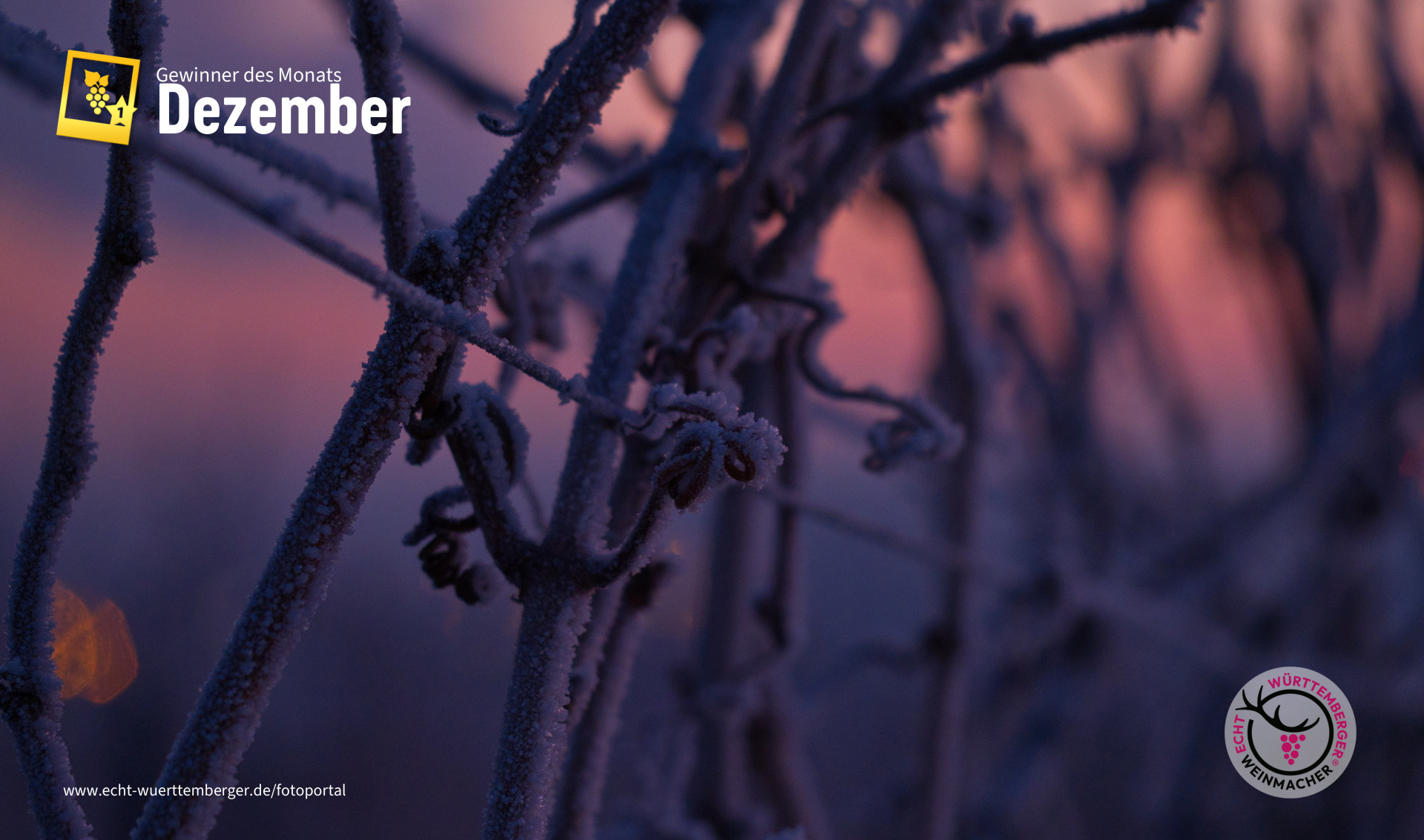 Frostiger Sonnenaufgang