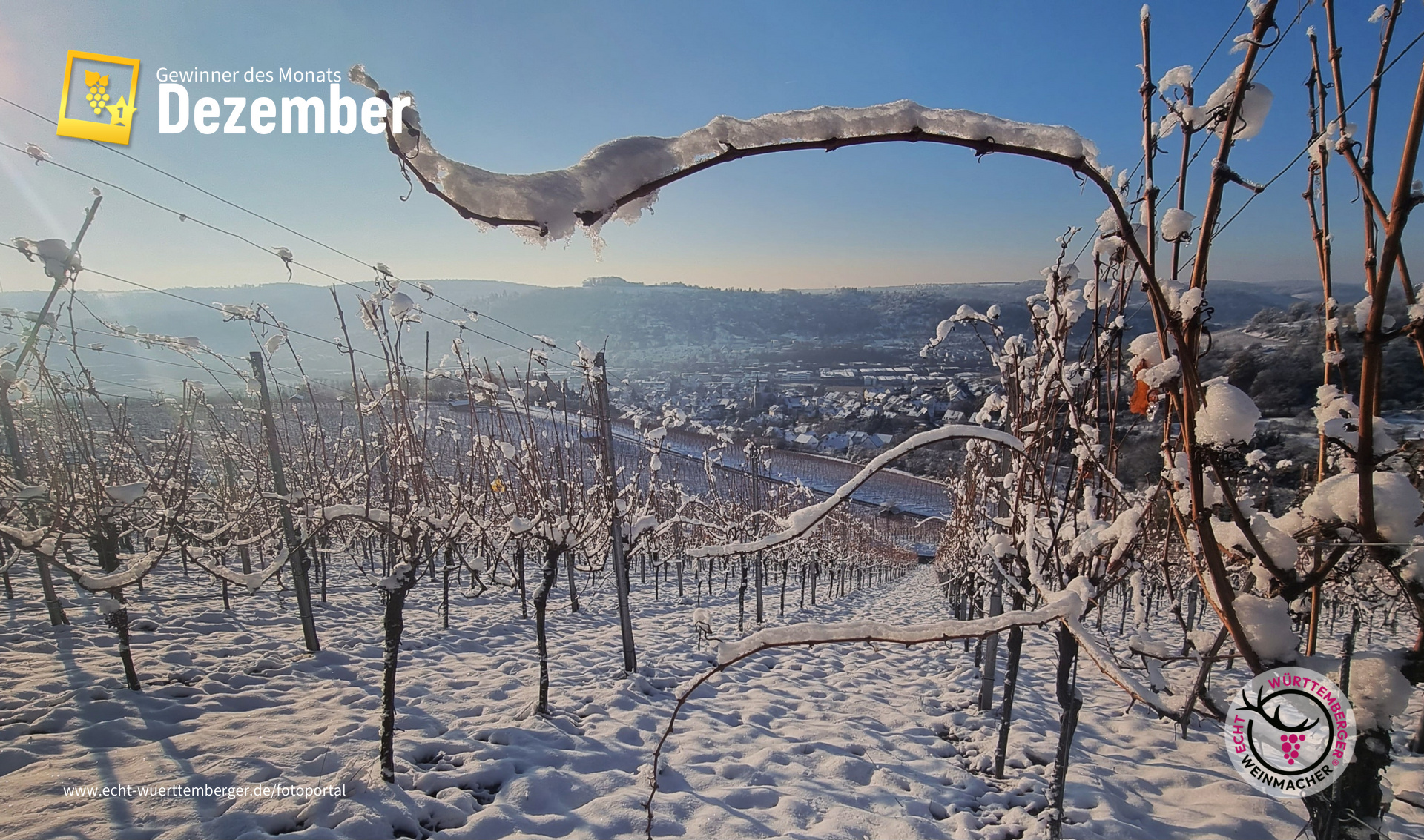 Schnee im Wengert
