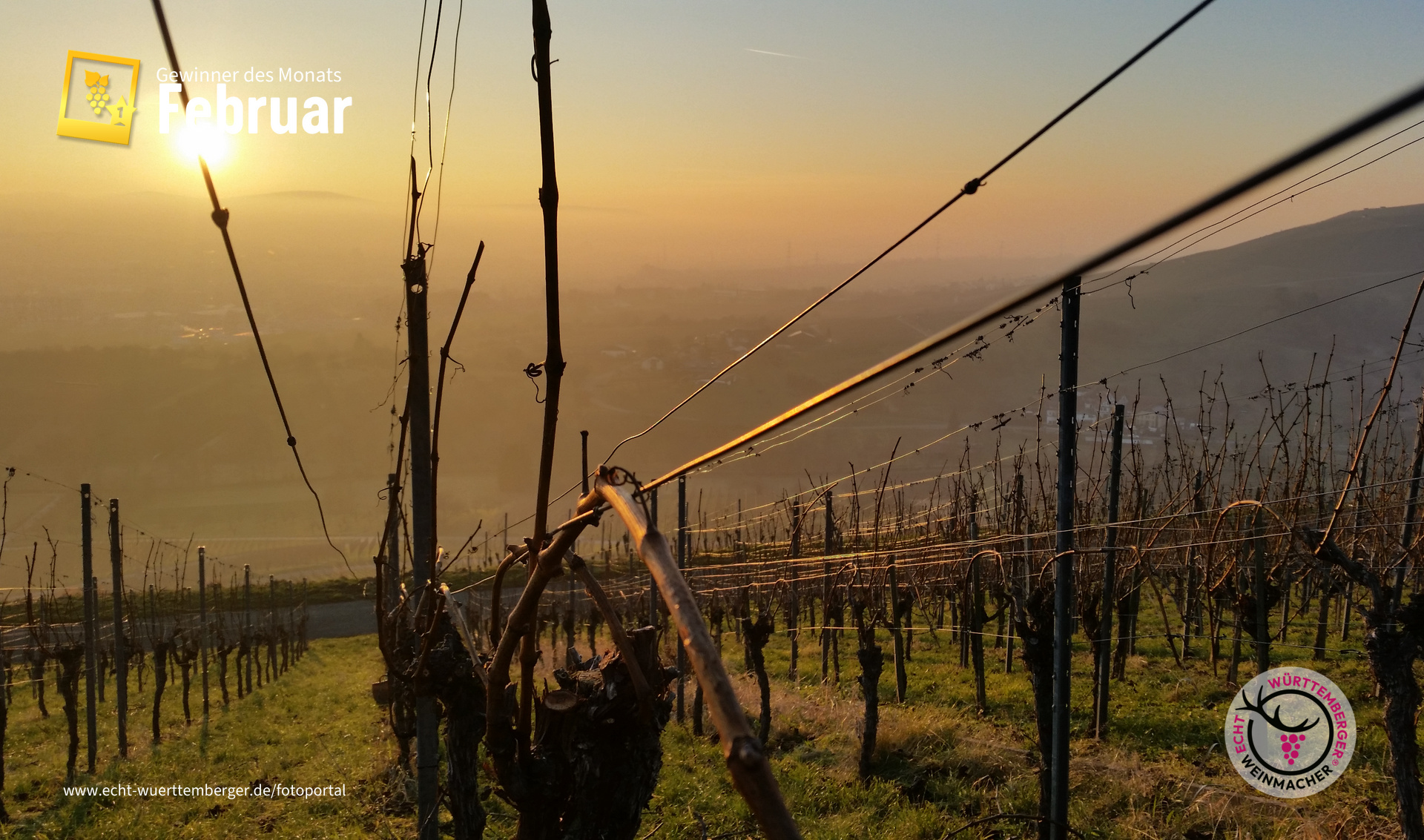 Untergehende Wintersonne 1