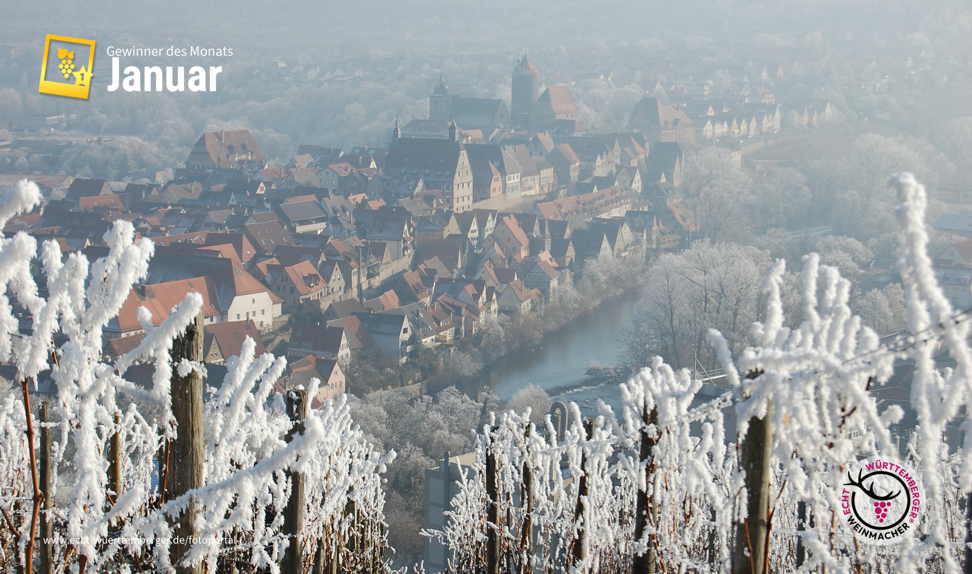 Besigheim im Dezember-Frost