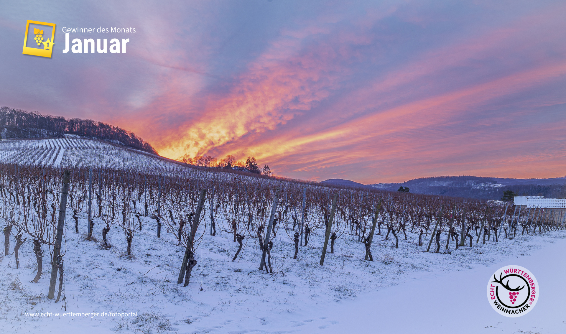 Wenn der Himmel über dem Weinberg brennt!