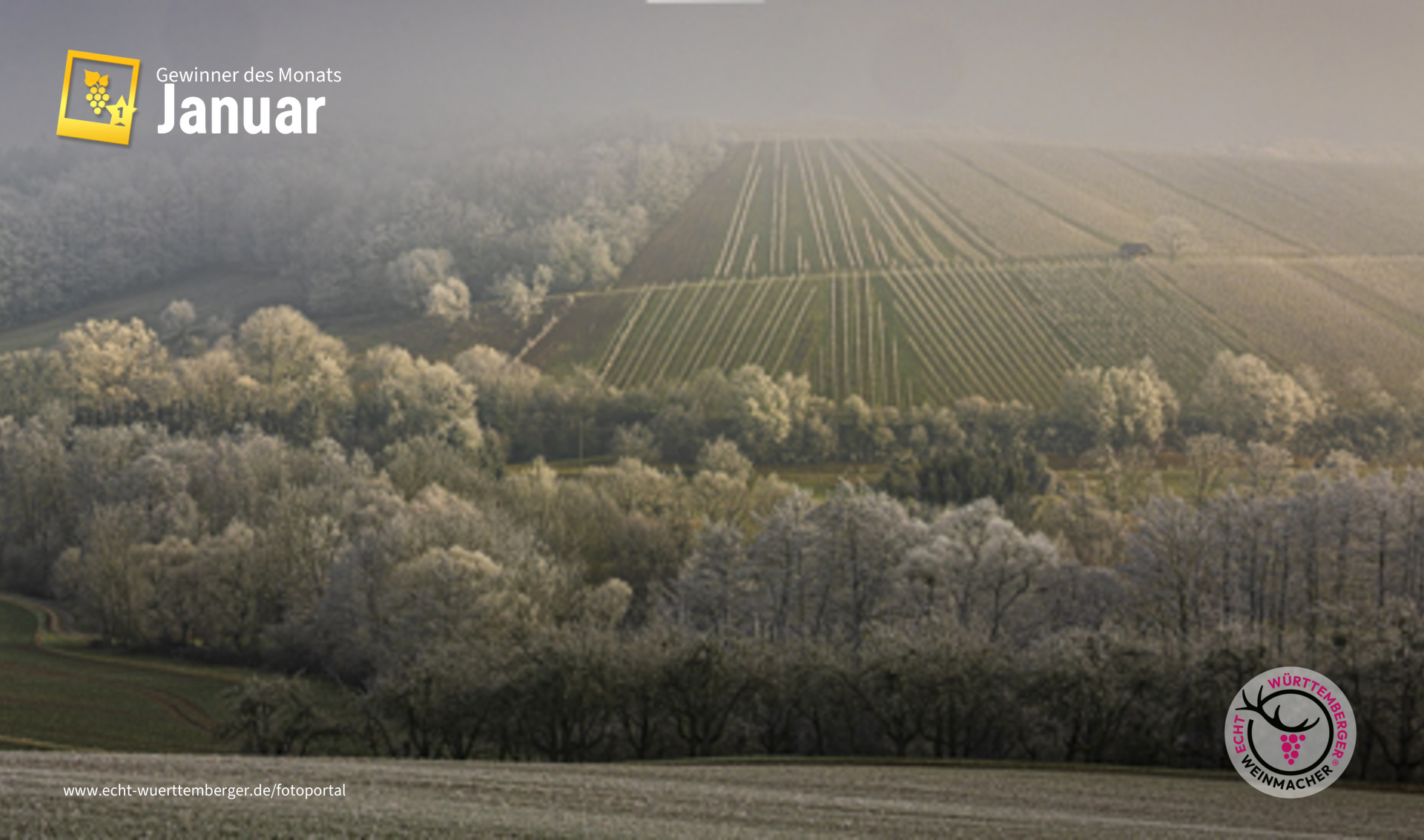 Die Sonne versucht den Nebel zu verjagen